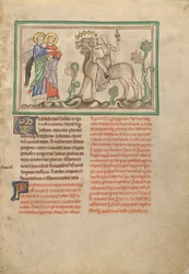 De grote hoer op het beest